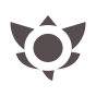 IRON