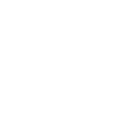 Fighter