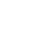 Assassin